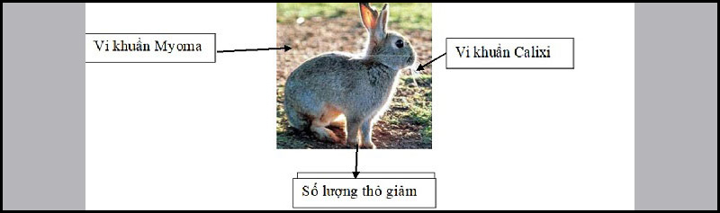 Gây vô sinh để diệt động vật gây hại