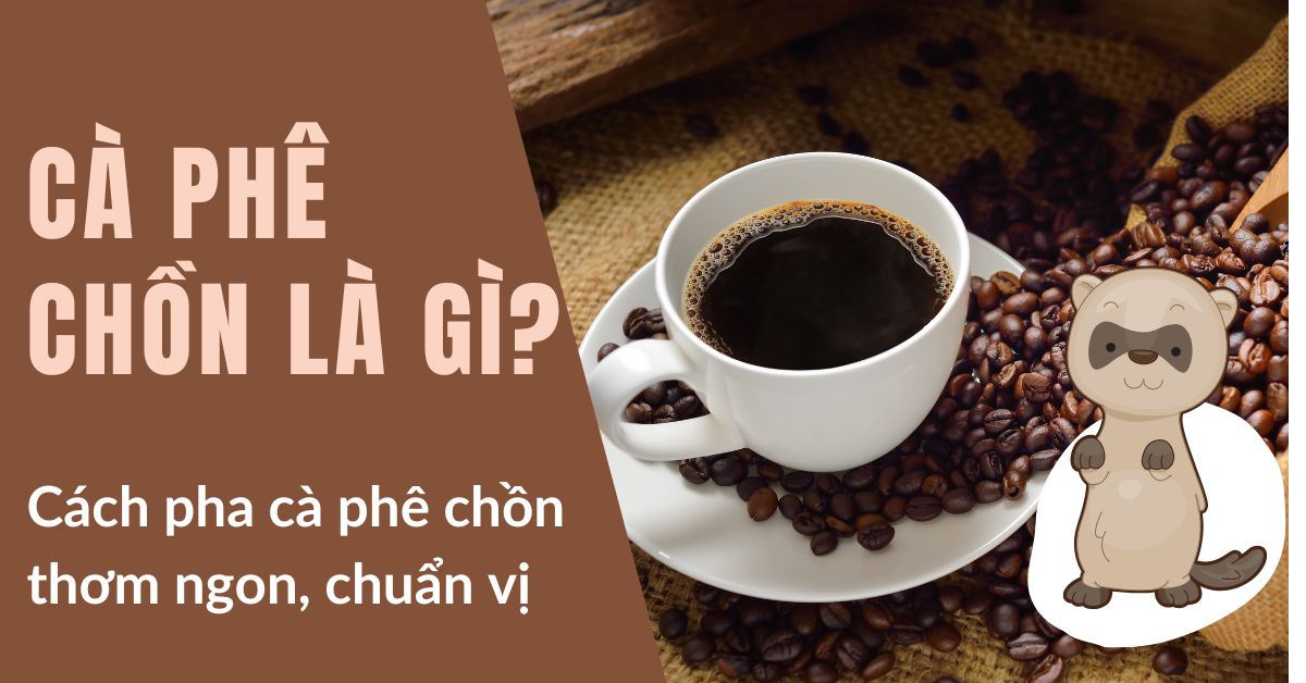 cà phê chồn là gì