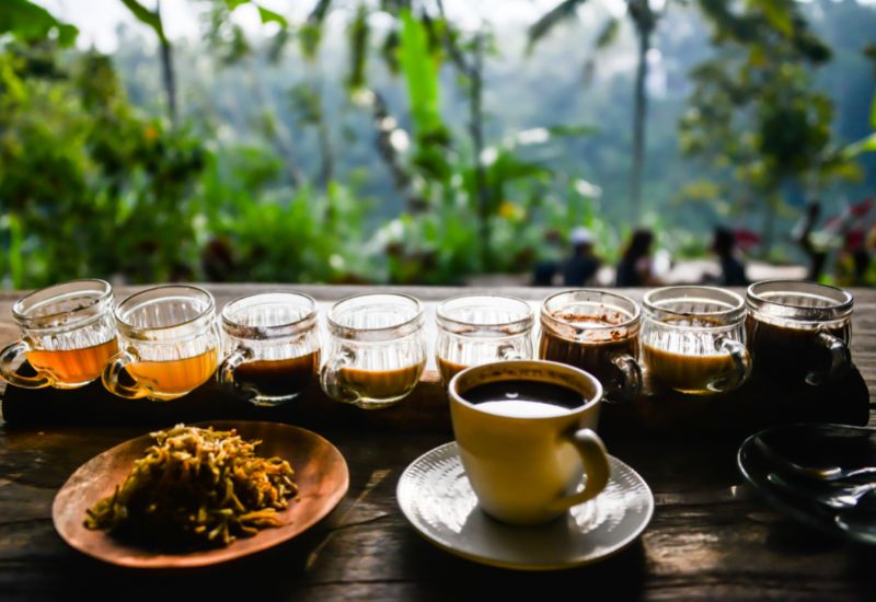 Cà phê chồn có hương vị đặc biệt
