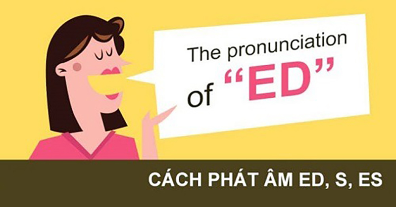 Quy tắc thêm đuôi “ed”