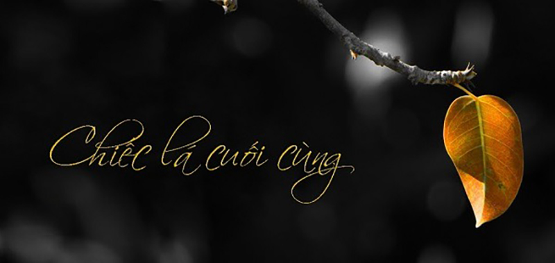 Phân tích đoạn trích Chiếc lá cuối cùng O’henry trong chương trình lớp 8