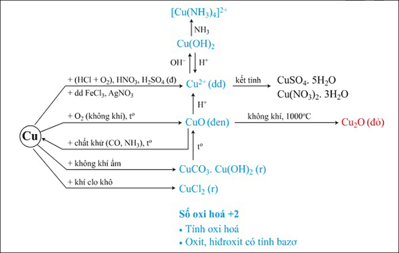 Tính chất hóa học của Đồng