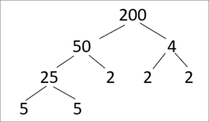Dạng 2: Theo sơ đồ hình cây