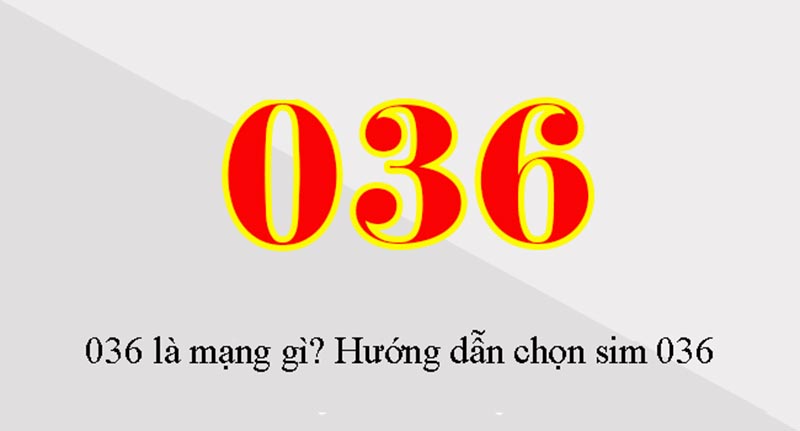 Mua đầu số 036 ở đâu?