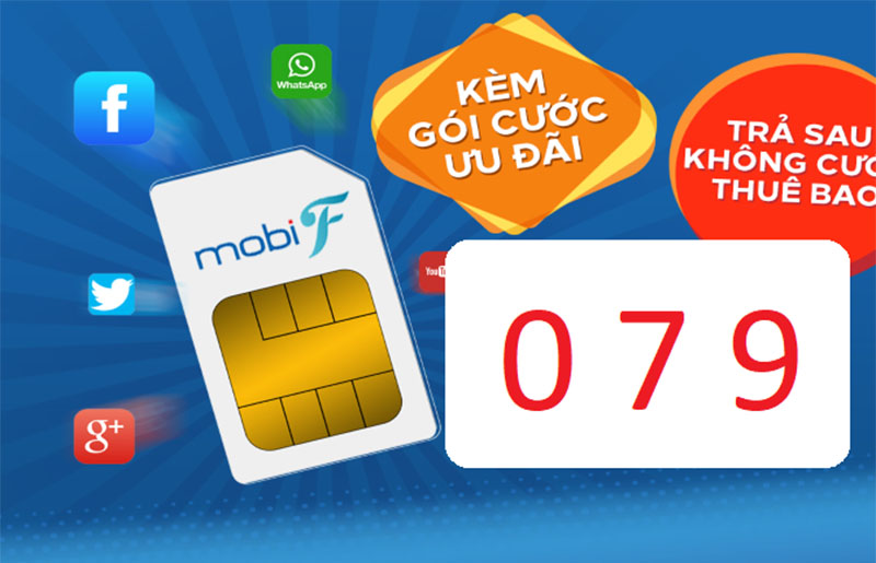 Ý nghĩa của đầu số 079