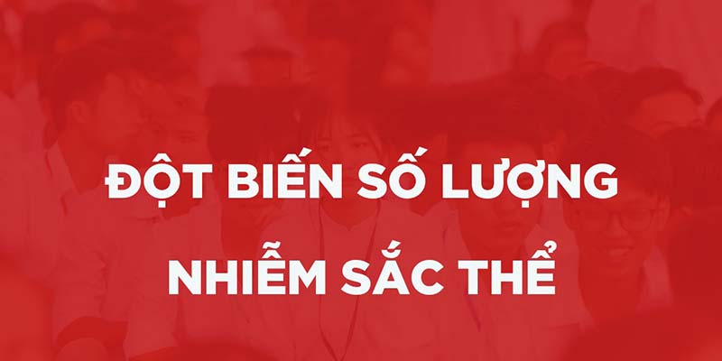 Cơ chế phát sinh của đột biến số lượng nhiễm sắc thể