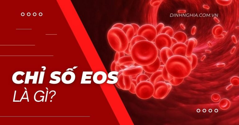 EOS là gì? Ý nghĩa của EOS trong xét nghiệm công thức máu?