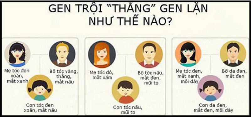 Đặc điểm của gen trội là gì?