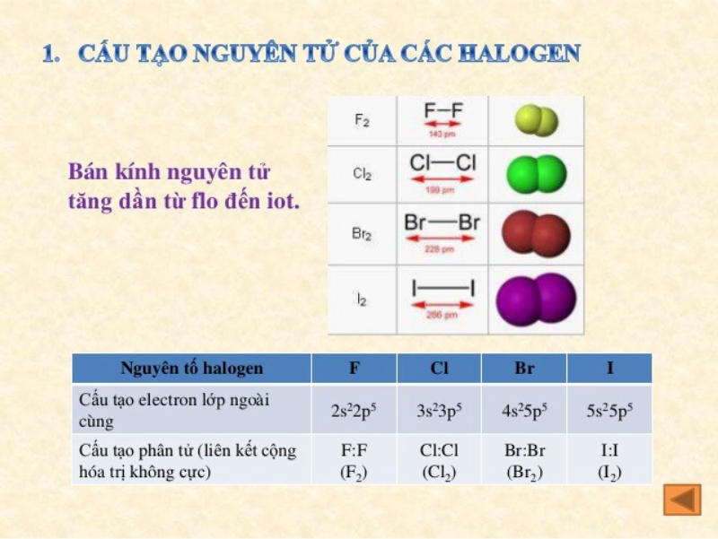 Tìm hiểu kiến thức nhóm halogen hóa 10