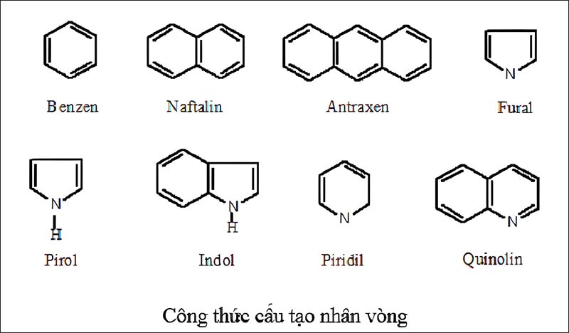 Hợp chất hữu cơ là gì? Ví dụ về hợp chất hữu cơ