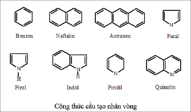 Hợp chất hữu cơ là gì?  Ví dụ về các hợp chất hữu cơ