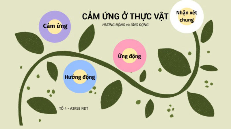 Khái niệm hướng động là gì?