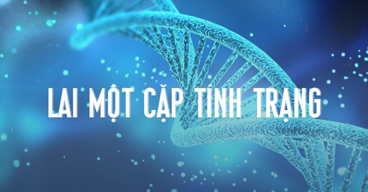 Lai một cặp tính trạng là gì? Bài tập lai 1 cặp tính trạng của