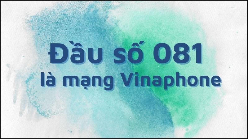 Tìm hiểu đầu số 081 là mạng gì?