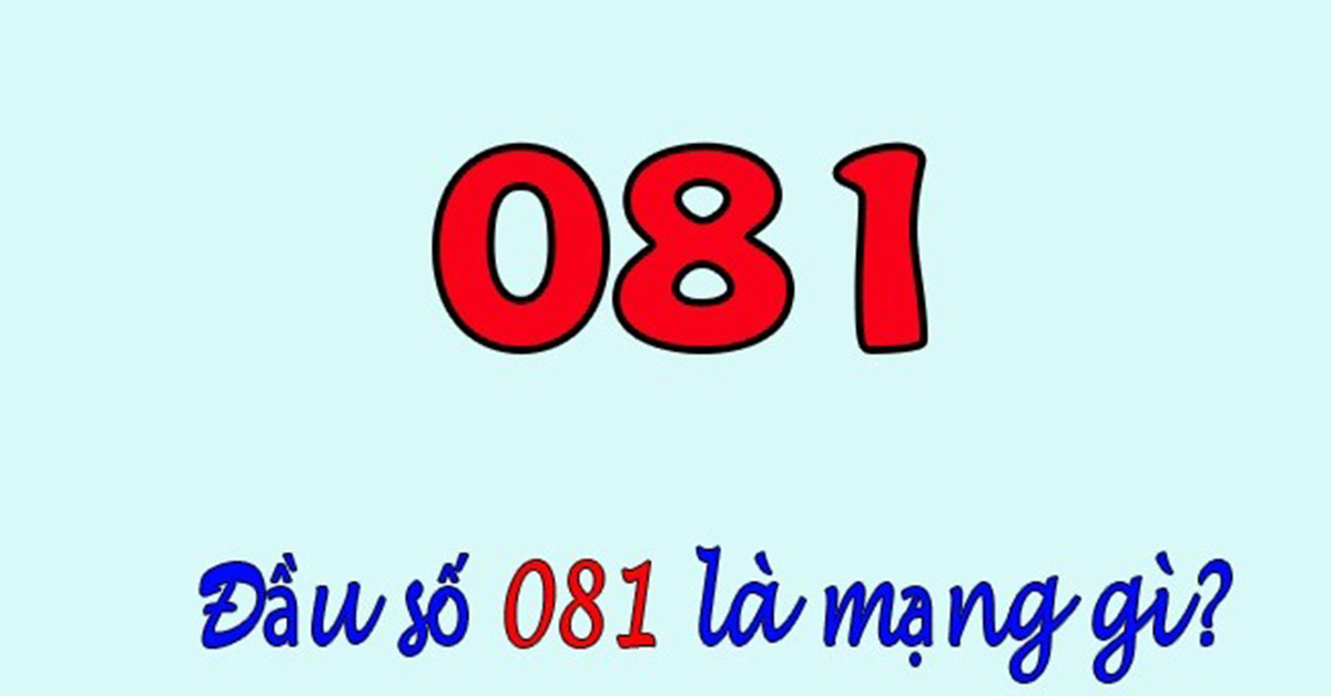 Lý giải 081 là mạng gì? Tìm hiểu ý nghĩa của đầu