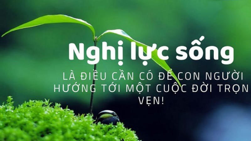 Vai trò của ý chí nghị lực trong cuộc sống khi nghị luận về ý chí nghị lực