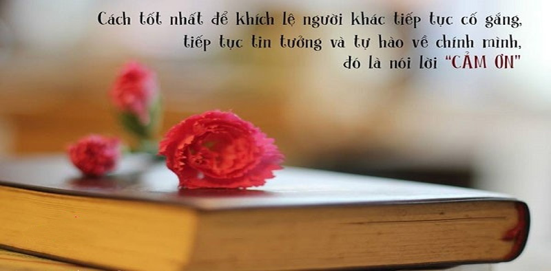 Bài học rút ra với bài văn nghị luận xã hội về lời cảm ơn