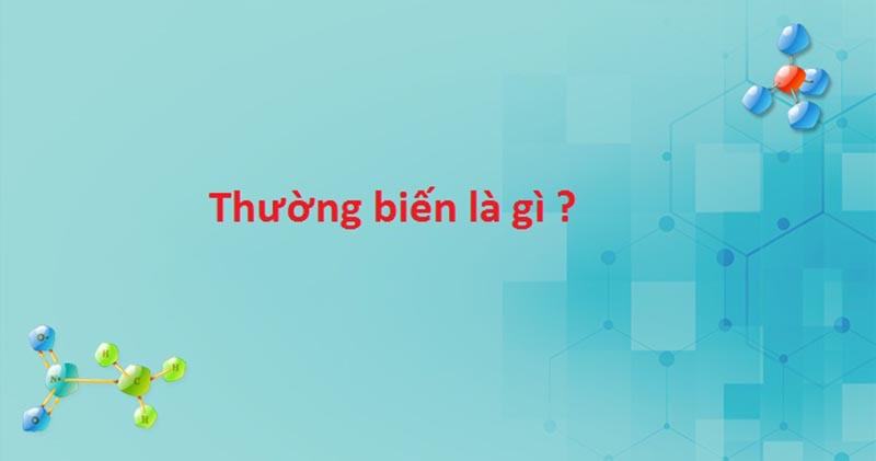 Ý nghĩa của thường biến là gì?