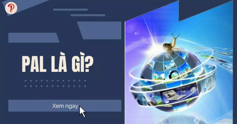 pal là gì
