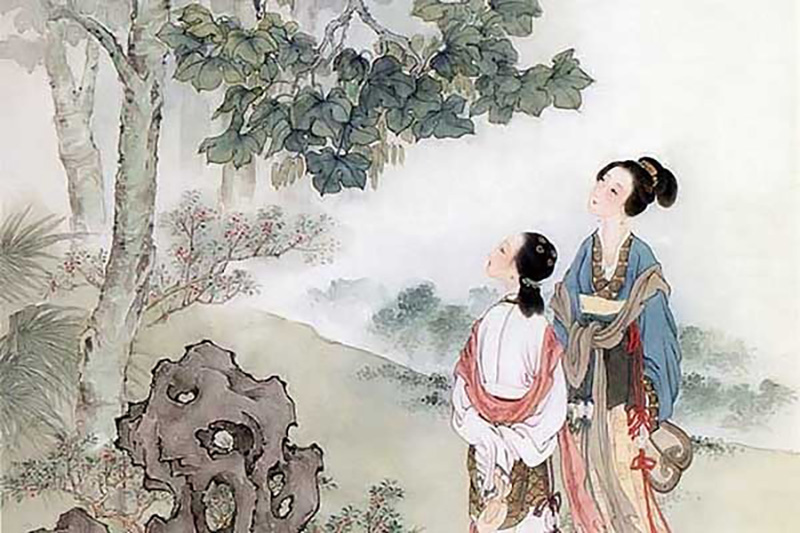 Phân tích 12 câu đầu bài Trao duyên