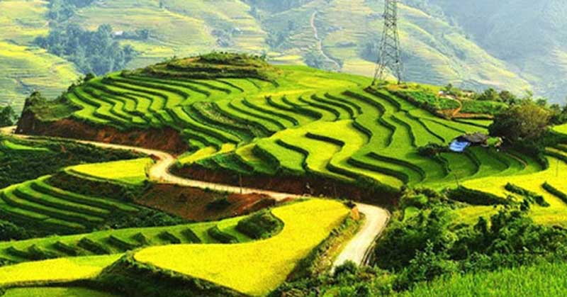 Hoàn cảnh ra đời của tác phẩm Đất nước