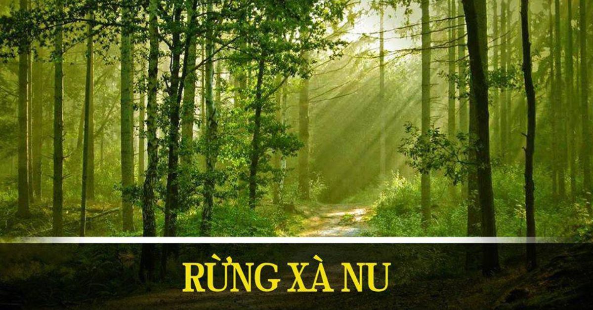 Phân tích hình tượng cây xà nu trong truyện ngắn Rừng xà nu