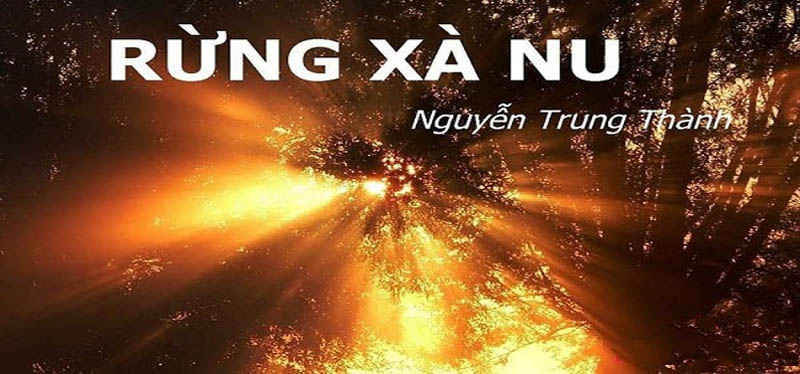 Phân tích Rừng xà nu của Nguyễn Trung Thành – Văn học lớp 12