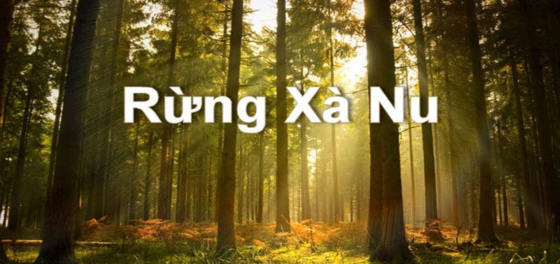 Phân tích Rừng xà nu của Nguyễn Trung Thành qua nhân vật Tnú
