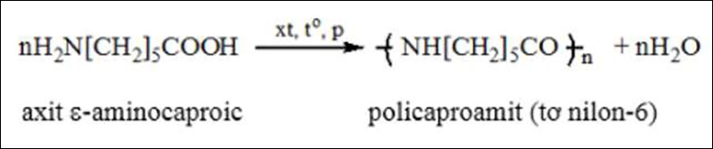 Khi đun nóng, các phân tử axit (epsilon – aminocaproic) kết hợp với nhau tạo ra policaproamit và giải phóng những phân tử nước