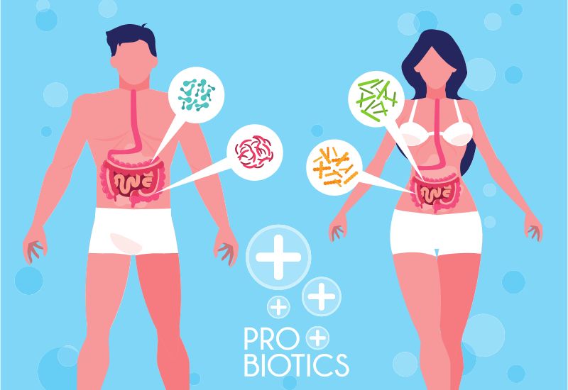 Lưu ý khi sử dụng probiotics