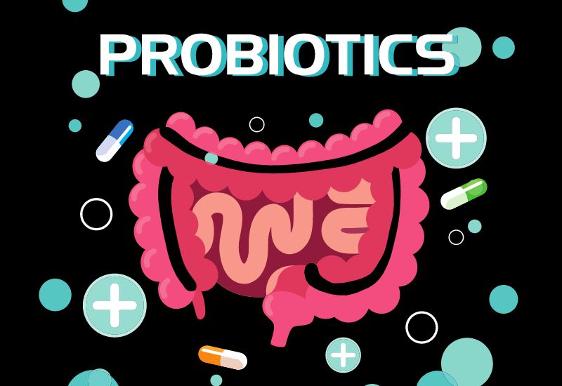 Probiotics là những vi sinh vật, nấm men sống có lợi cho hệ tiêu hóa
