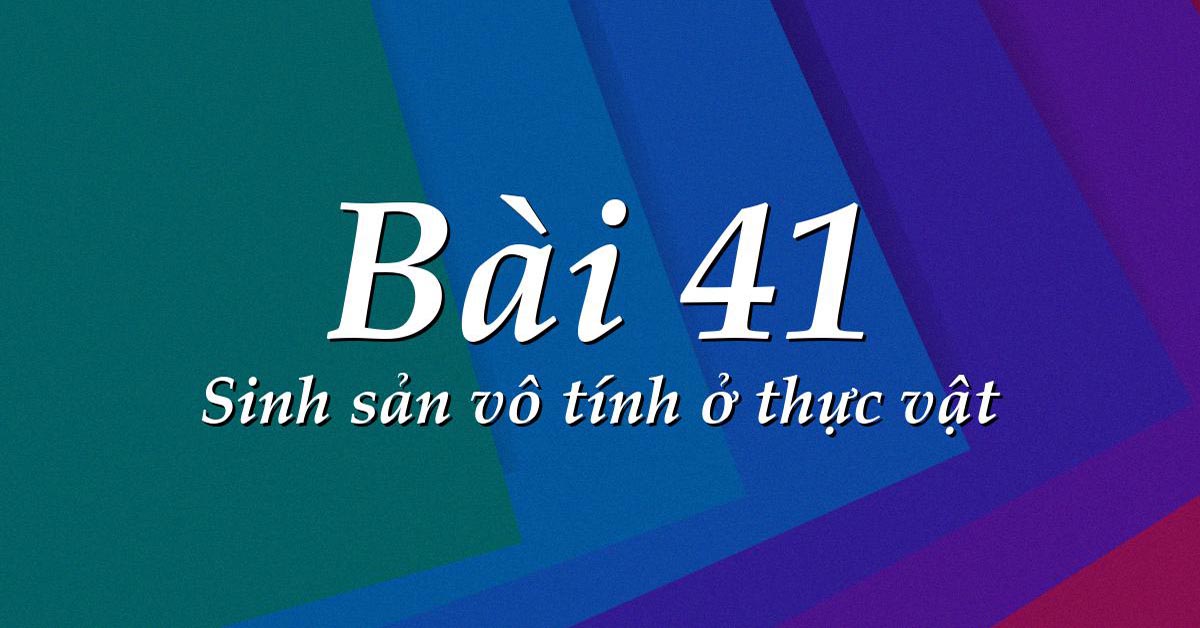 sinh sản vô tính là gì