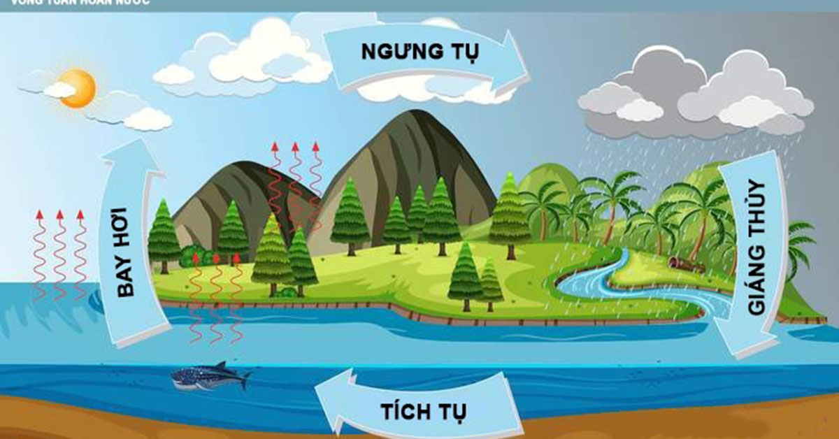 Sự bay hơi là gì? Sự ngưng tụ là gì? Những yếu tố ảnh hưởng