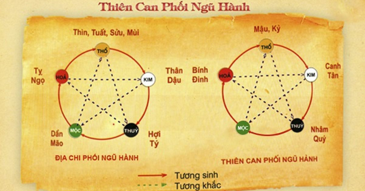 Thiên Can Địa Chi là gì? Cách tính Thiên Can Địa Chi trong tử vi