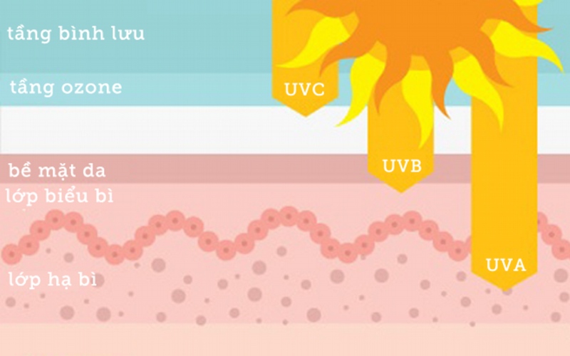 Tia UV