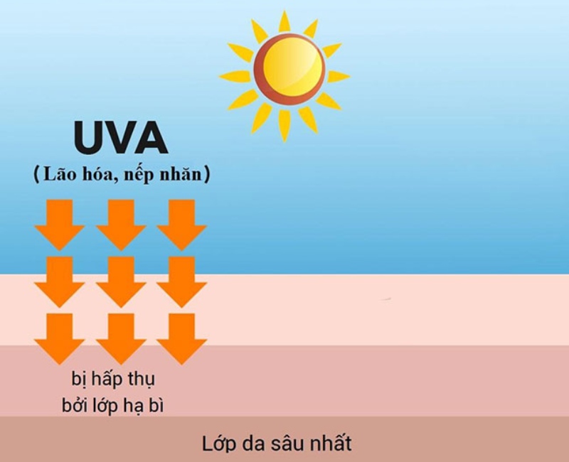 Tia UVA