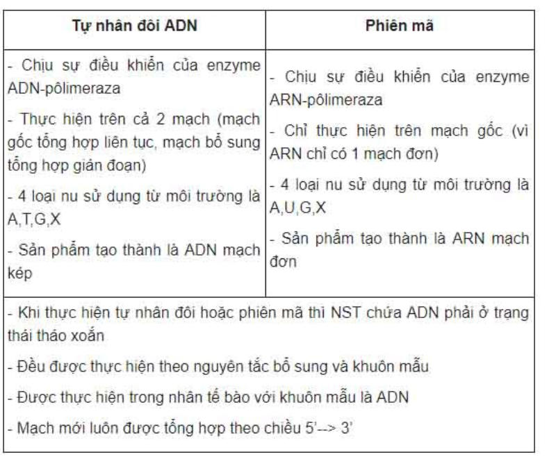 Bảng so sánh tự nhân đôi ADN với phiên mã