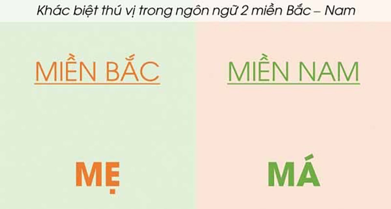 Từ ngữ địa phương mang nét đặc trưng vùng miền