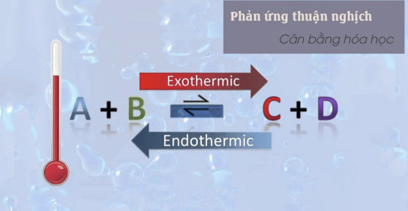Kiến thức về cân bằng hóa học
