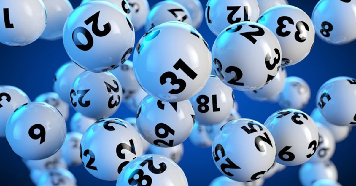 Tổng hợp 10 cách nuôi dàn đề hiệu quả nhất.