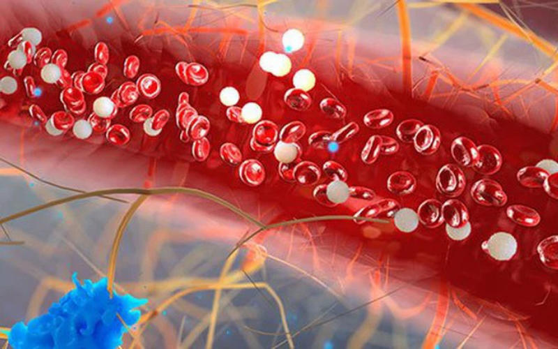 Tìm hiểu Triglycerid là gì?