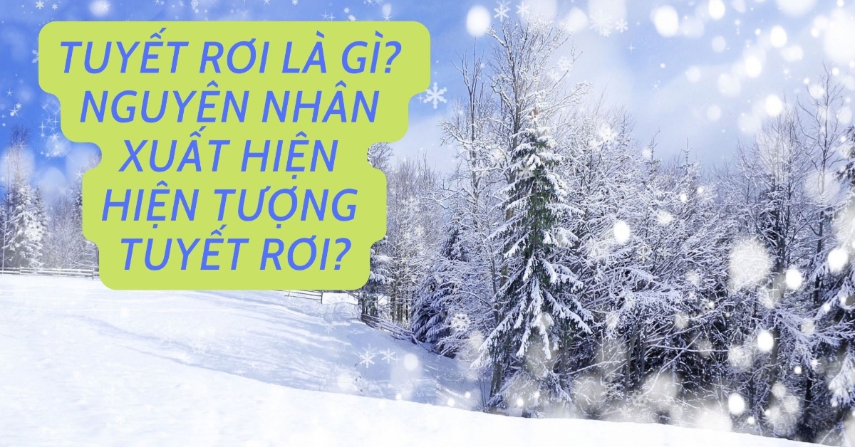 Tuyết rơi là gì? Nguyên nhân xảy ra hiện tượng tuyết rơi