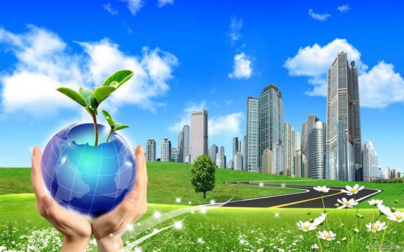 Vai trò của thực vật đối với môi trường