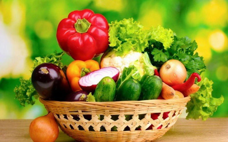 Vai trò của thực vật đối với con người