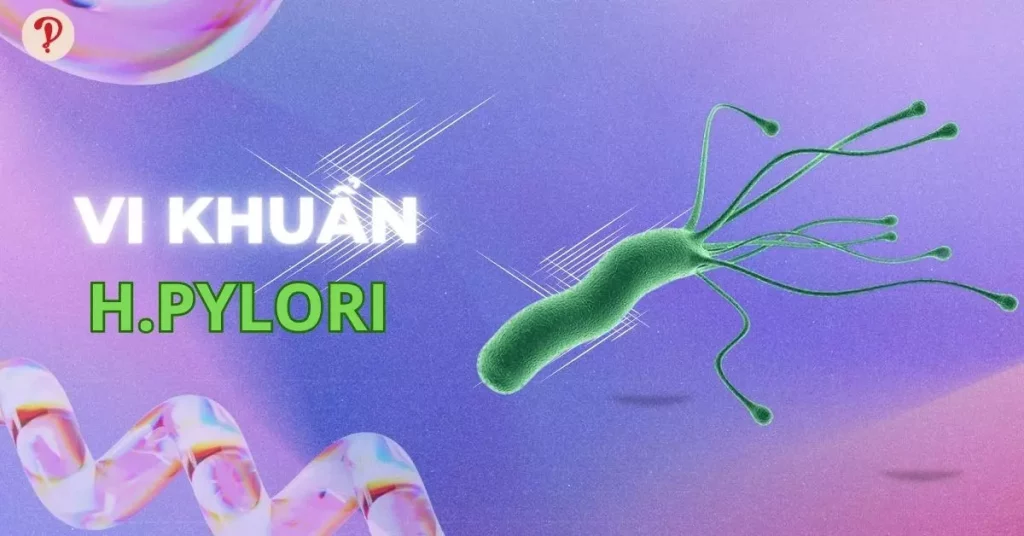H.pylori
