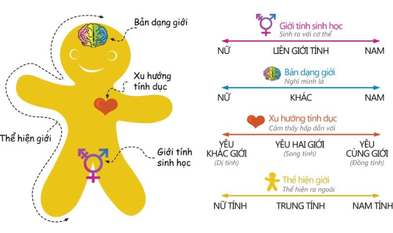 Sự đa dạng về xu hướng tình dục trên thế giới hiện nay Sự đa dạng về xu hướng tình dục trên thế giới hiện nay