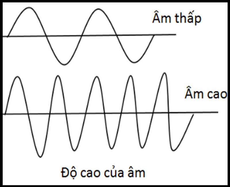 Phân biệt độ cao của âm