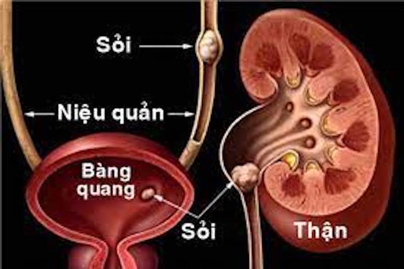 Điều trị nội khoa