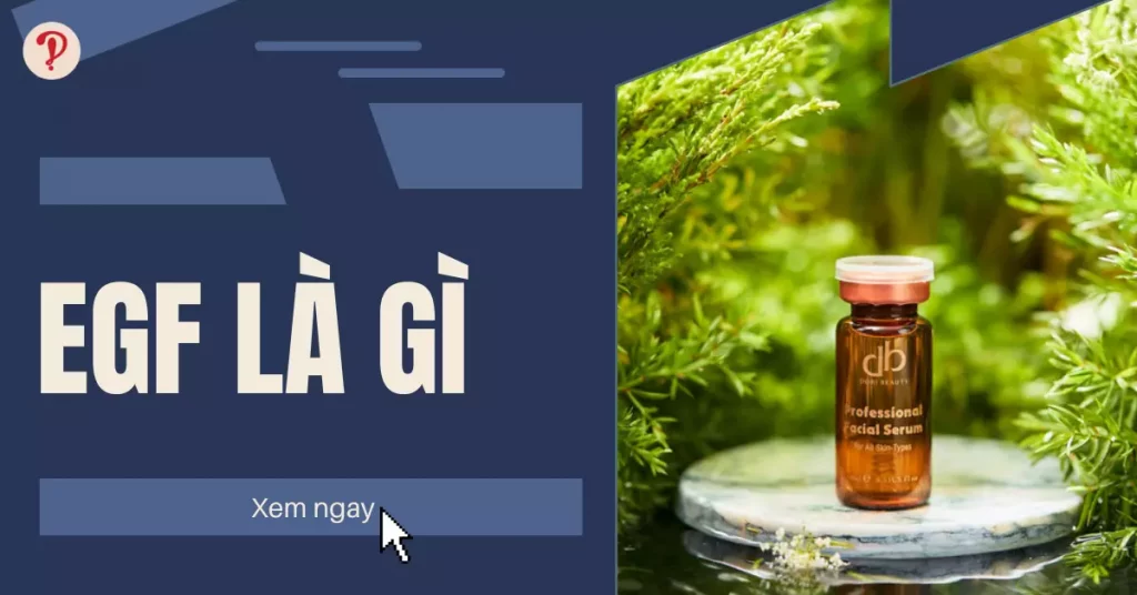 egf là gì