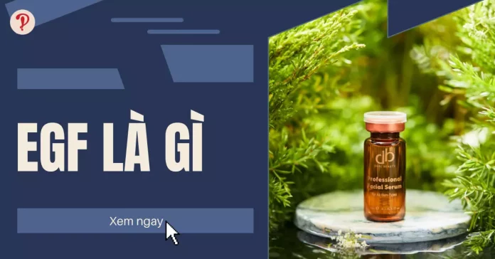 egf là gì